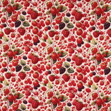COTON IMPRIMÉ FRUITS DES CHAMPS FOND BLANC