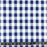 TISSU À NAPPE - CARROTÉ BLEU ET BLANC